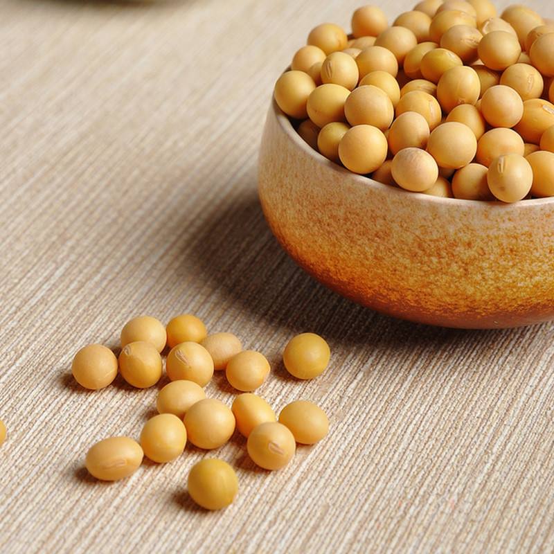 大豆深加工项目有哪些,大豆深加工详解