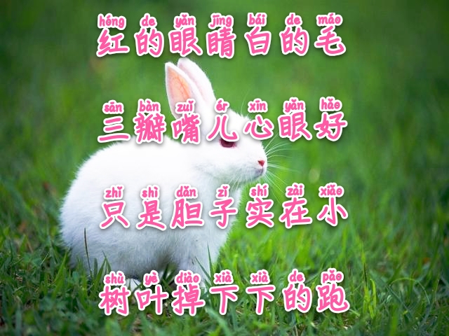 常与孩子猜谜100条儿童谜语建议,经典谜语清单让你的宝宝变聪明