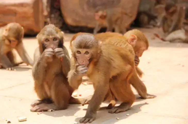 昆明周边游玩元旦景点推荐,元旦昆明周边游玩景点推荐