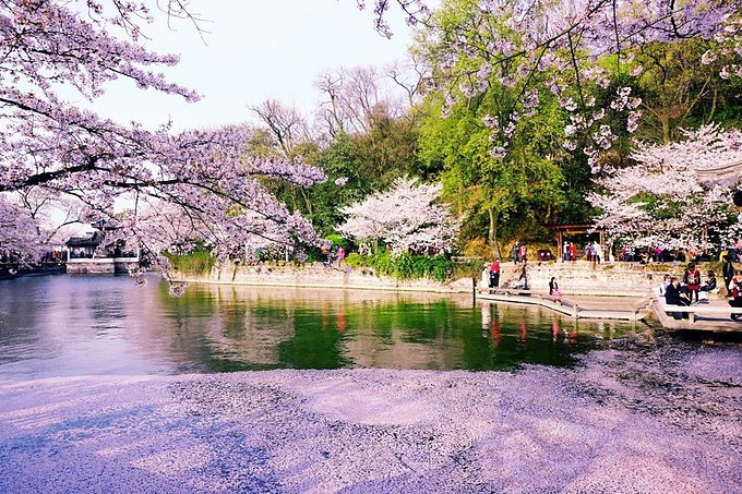2019旅行目的地盘点,2019年12月3天旅行地推荐