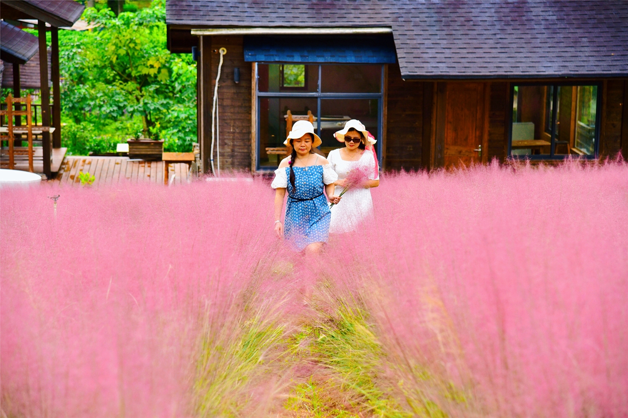 广州市龙洞粉黛乱子草网红打卡地,肇庆盘龙峡自助游推荐
