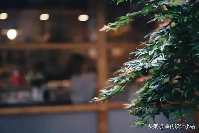 一家四口出租屋改造,旧出租屋省钱大改造