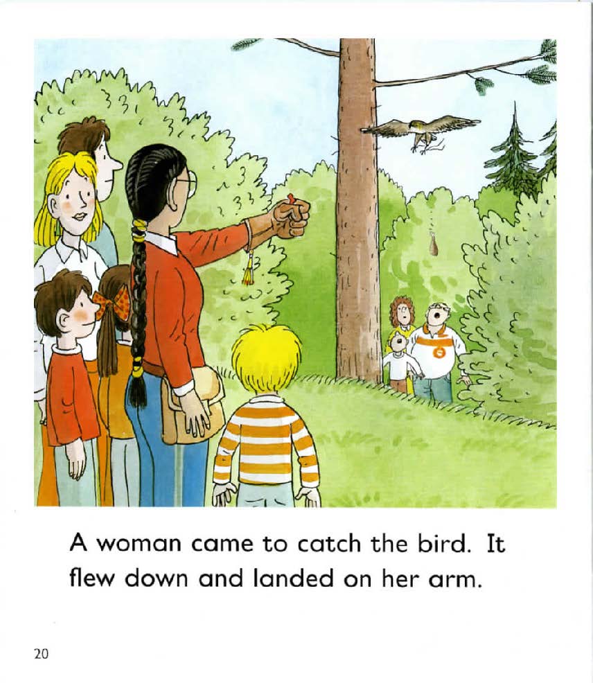 牛津树分级阅读仓库,牛津树英语分层阅读书籍