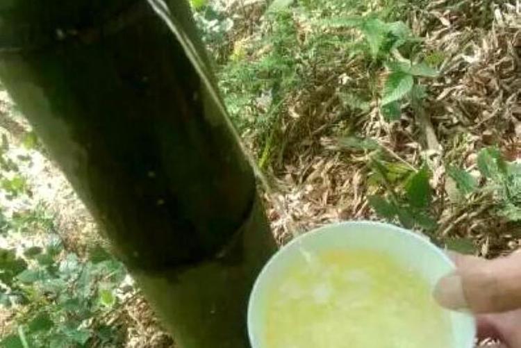 红极一时竹筒酒突然消声,最知名真正的竹筒酒