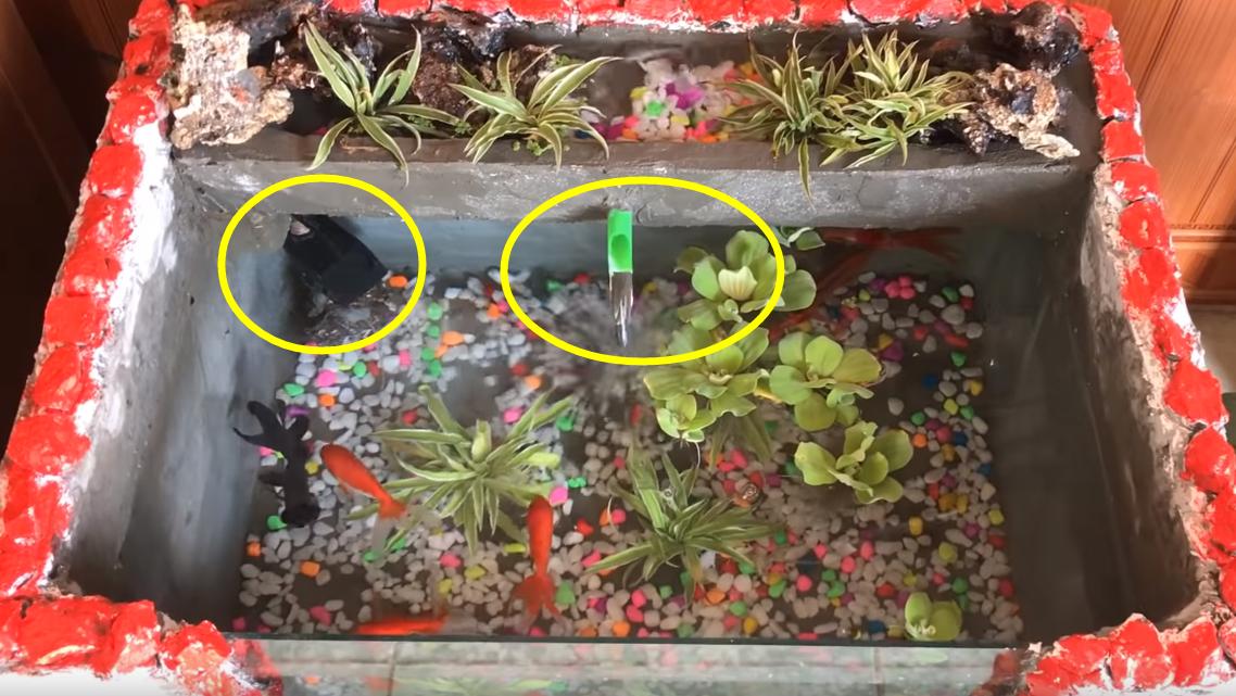 在家自做泡沫箱鱼缸,泡沫箱制作鱼缸养鱼