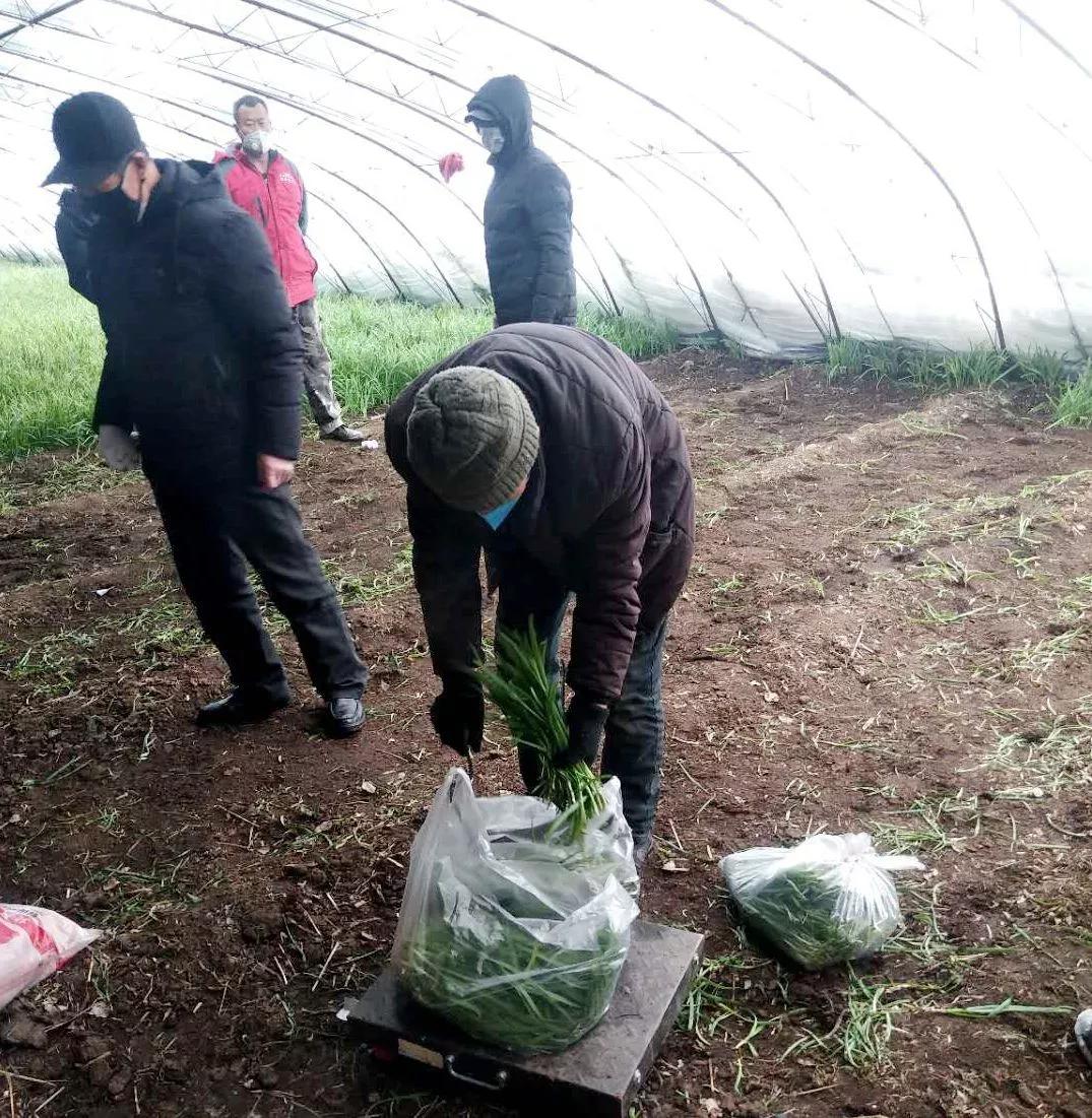 赤峰市巴林左旗先锋村：村干部甘当人民的“代购员”