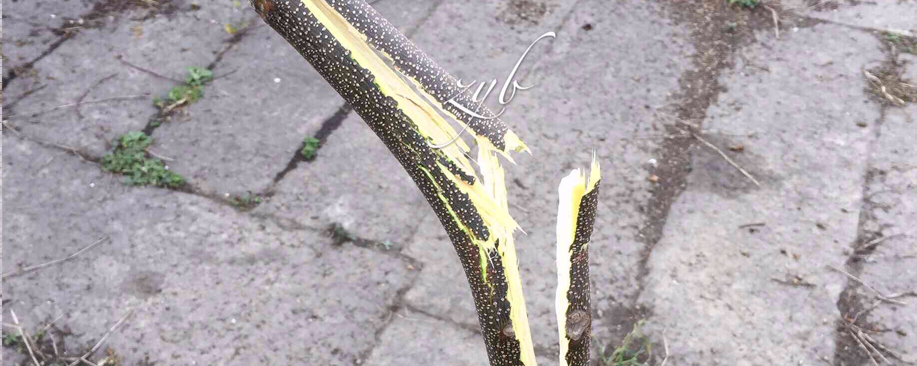 儿童手摔骨折了有哪些是要手术的,孩子骨折医生说要动手术