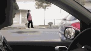 文化不被传承的影响,文化没得到传承的原因