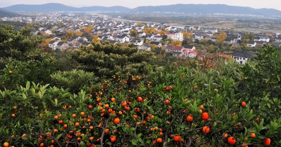 快乐的苏州西山农家乐之旅,苏州西山农家乐自驾游攻略图