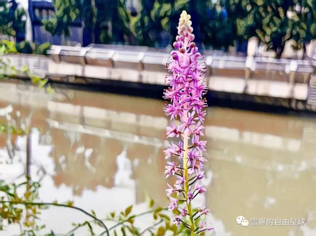 dyson风扇如何拆,dyson戴森风扇过滤网更换