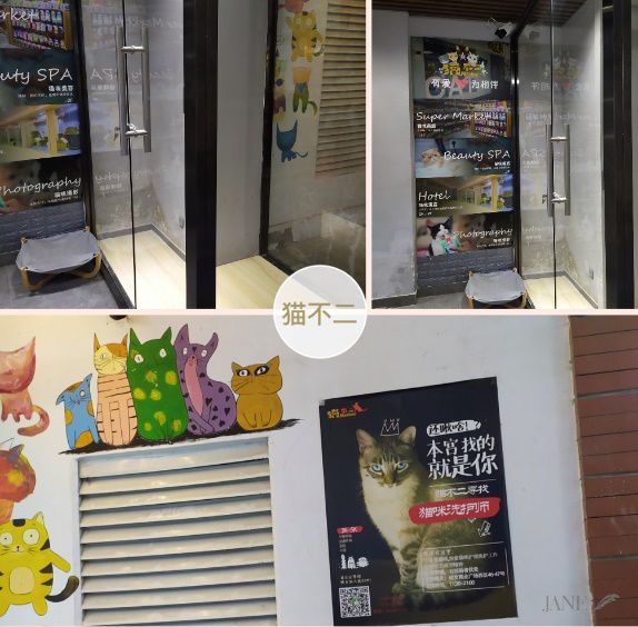 猫舍卖猫这行业为什么这么暴利,猫咪宠物店靠什么盈利