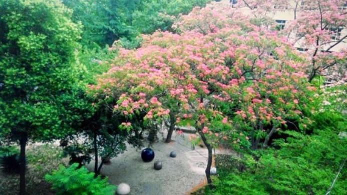 河北师大为什么经费排名第一,河北师大附中和河北师大