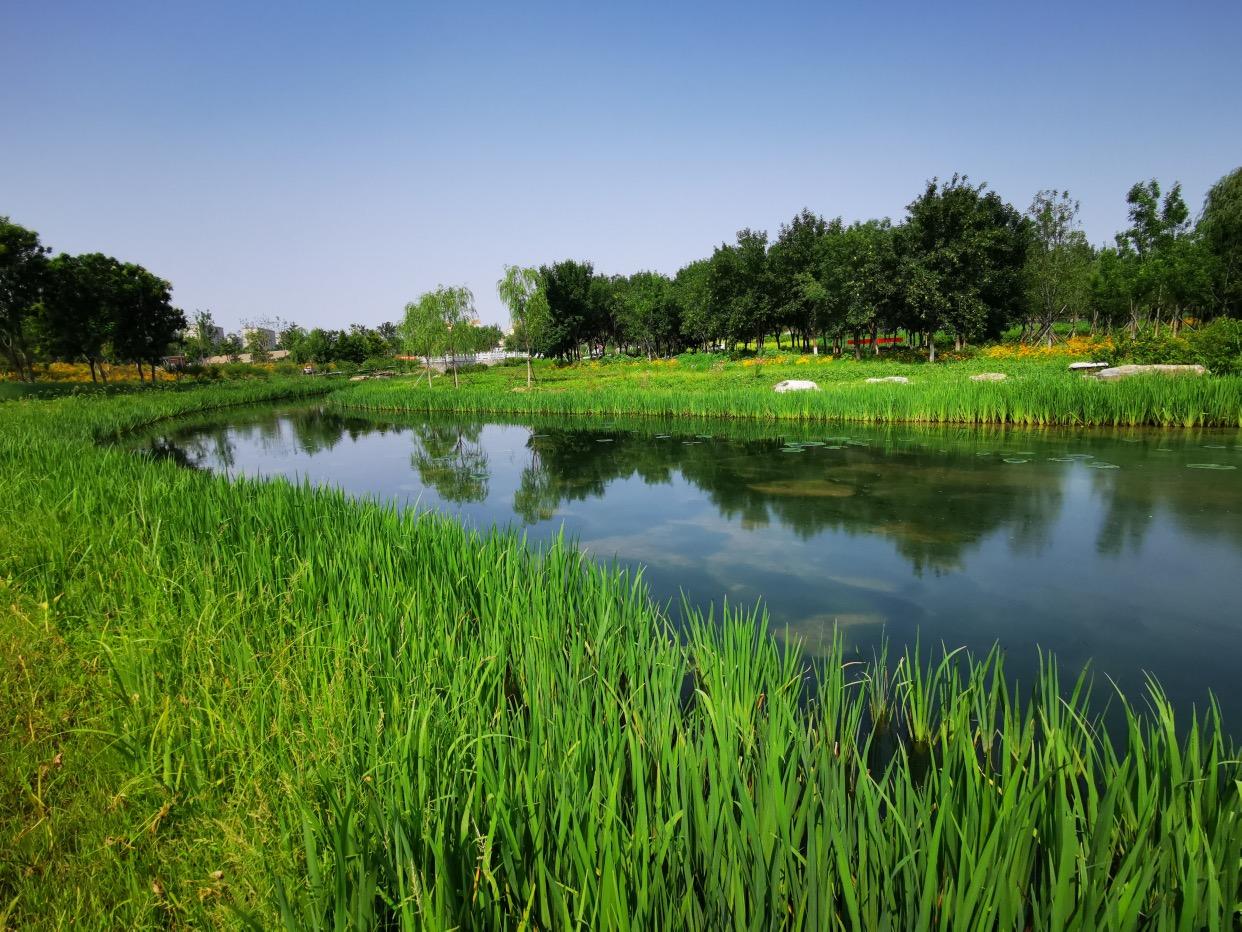 北京丰台：妙笔生花“城南新”