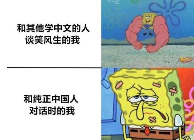 国外脱口秀吐槽学汉语,外国人学中文时的吐槽梗图