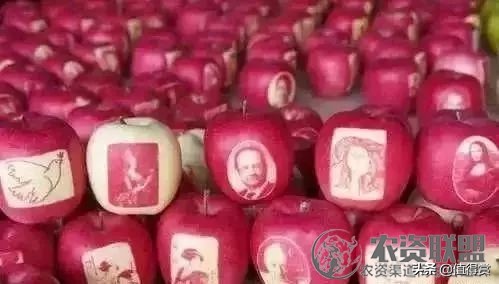 “变态”的日本农业：超前思维，敬畏自然，死磕单品