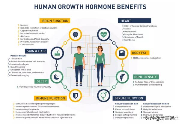臀腿和腹部怎么减脂有效,臀腿脂肪怎么减最快