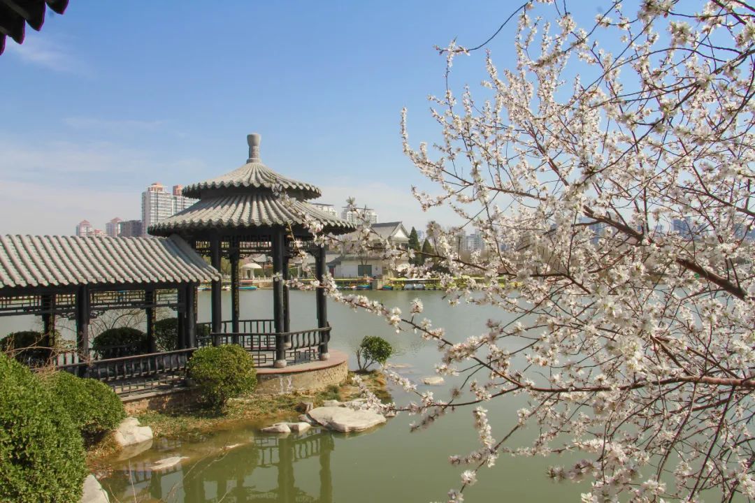 天津2022哪些公园恢复开放,天津2022年四月开放的公园