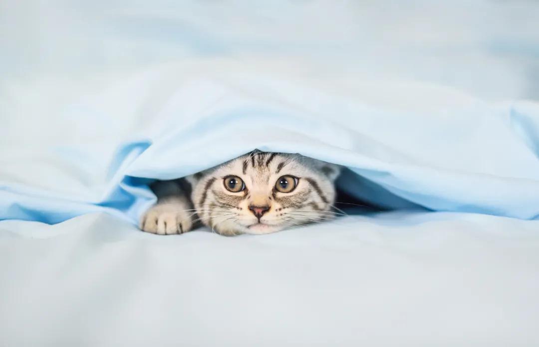 温暖一冬的小妙招,温暖过冬指南图片