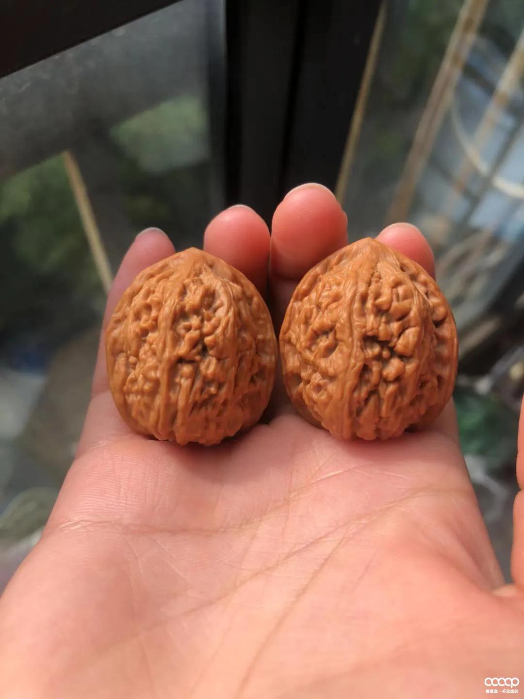 有毒！又一位宝藏小姐姐，玩核桃最爱“马虎”，朋友眼里是奇葩