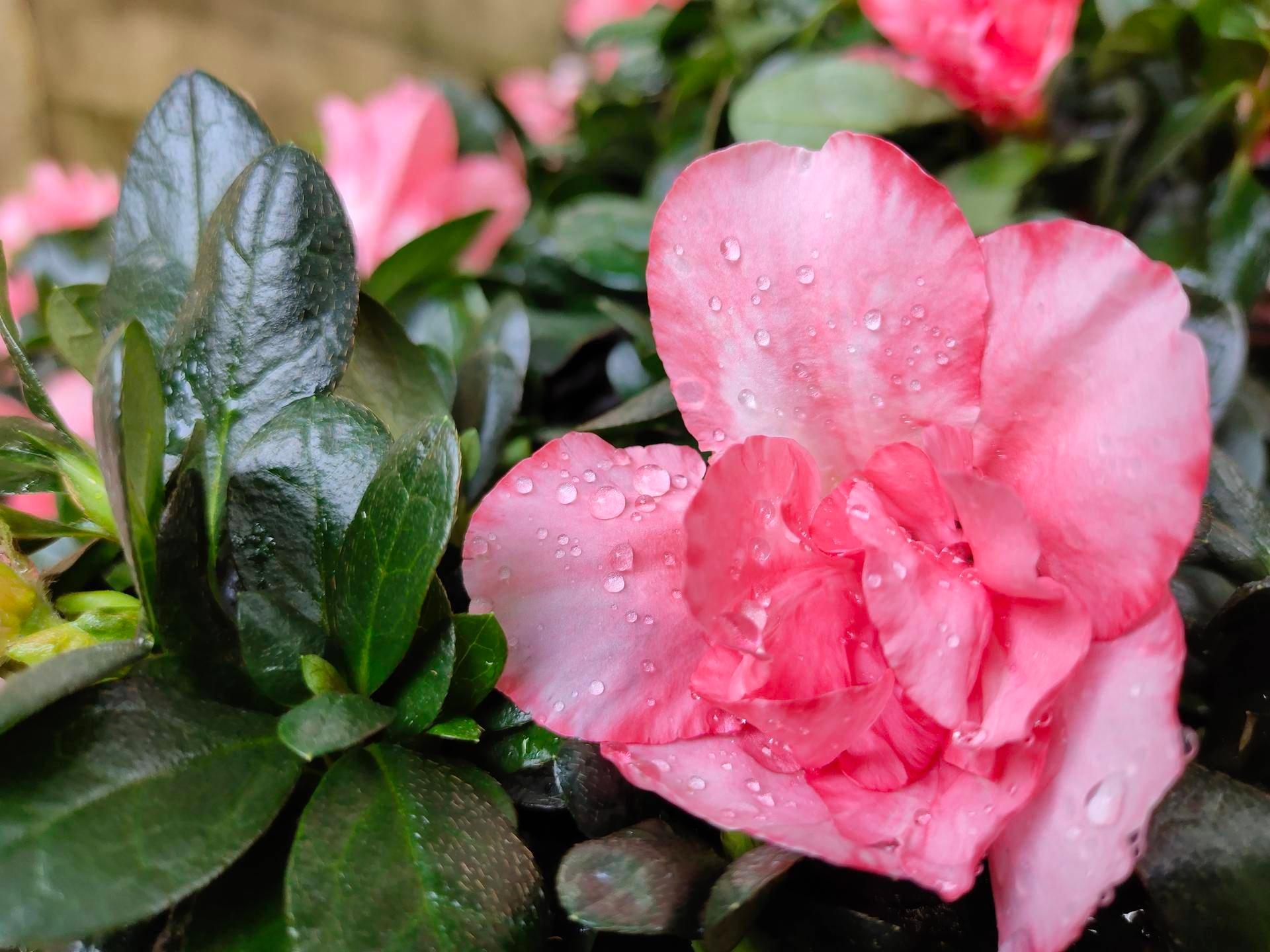 三星note10+5g版升级,三星note10+5g升级后