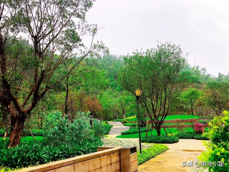 惠州惠阳星河丹堤怎么样,惠州星河丹堤是惠阳还是大亚湾