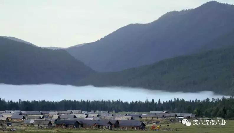 最新神仙综艺节目,2019高分冷门的良心综艺安利