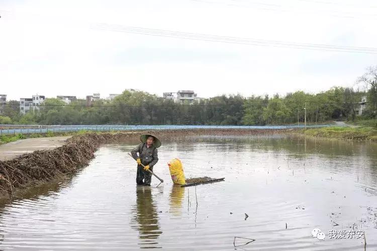 永州东安横塘周家大院,东安横塘周家大院