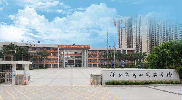 非深户孩子在深圳上学的条件,非深户孩子在深圳上学民办学校