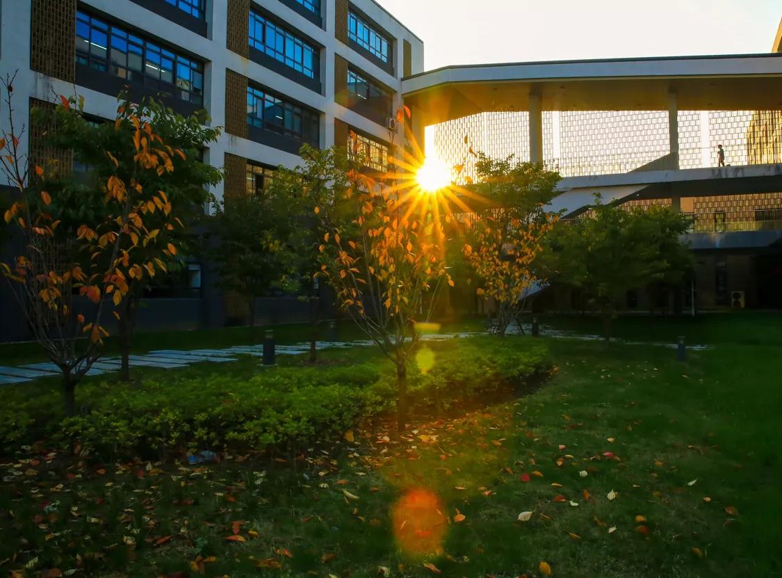 四级翻译高频句型短语词汇,翻译作文高频短语和单词