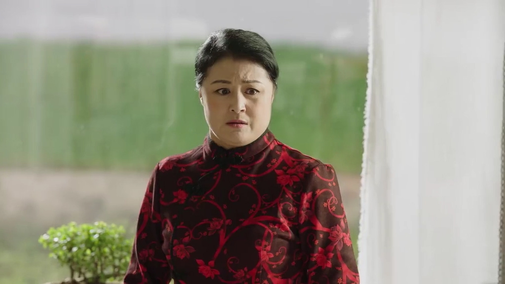 乡村爱情11谢大脚见黄世友,乡村爱情十一谢大脚