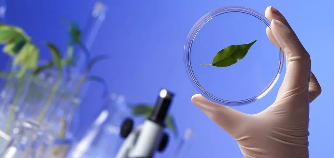 alevel学生物要学几年,大学学生物化学好吗