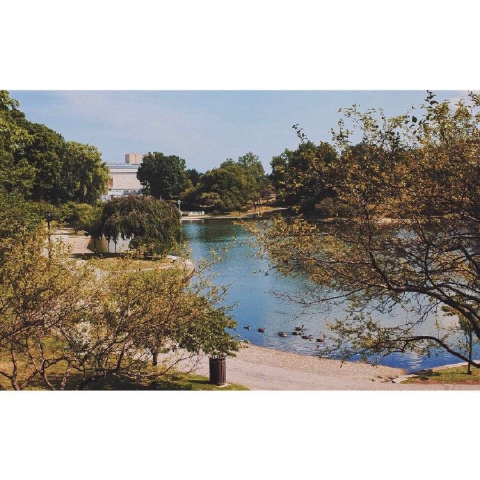 常用英语口语长句子经典语录,英语句子日常使用