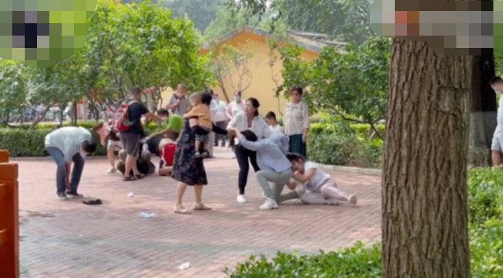 北京动物园打架事件原因是什么,北京动物园两虎打斗