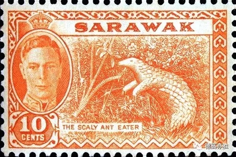 童正祥：邮票上的穿山甲故事