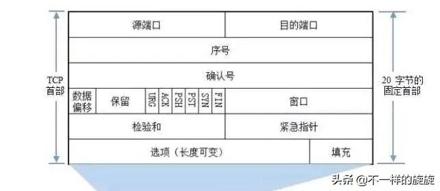 电脑网络基础知识指哪些,网络技术基础怎么学好