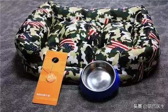 带宠物住宿酒店,带宠旅行酒店