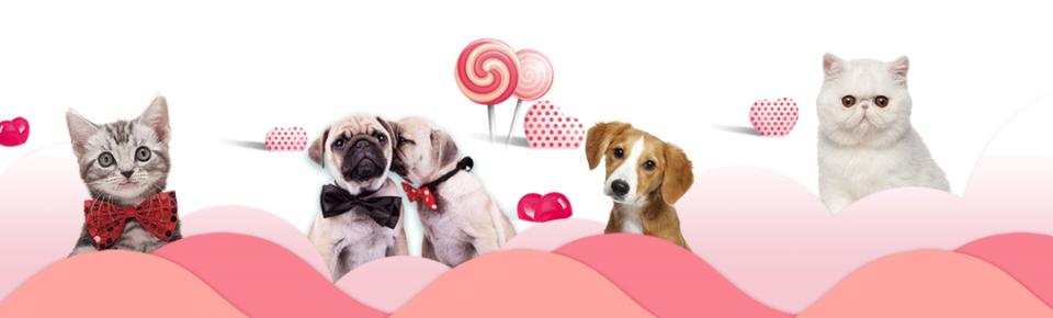 保利MALL 阿派领养日！有只萌宠在call你…