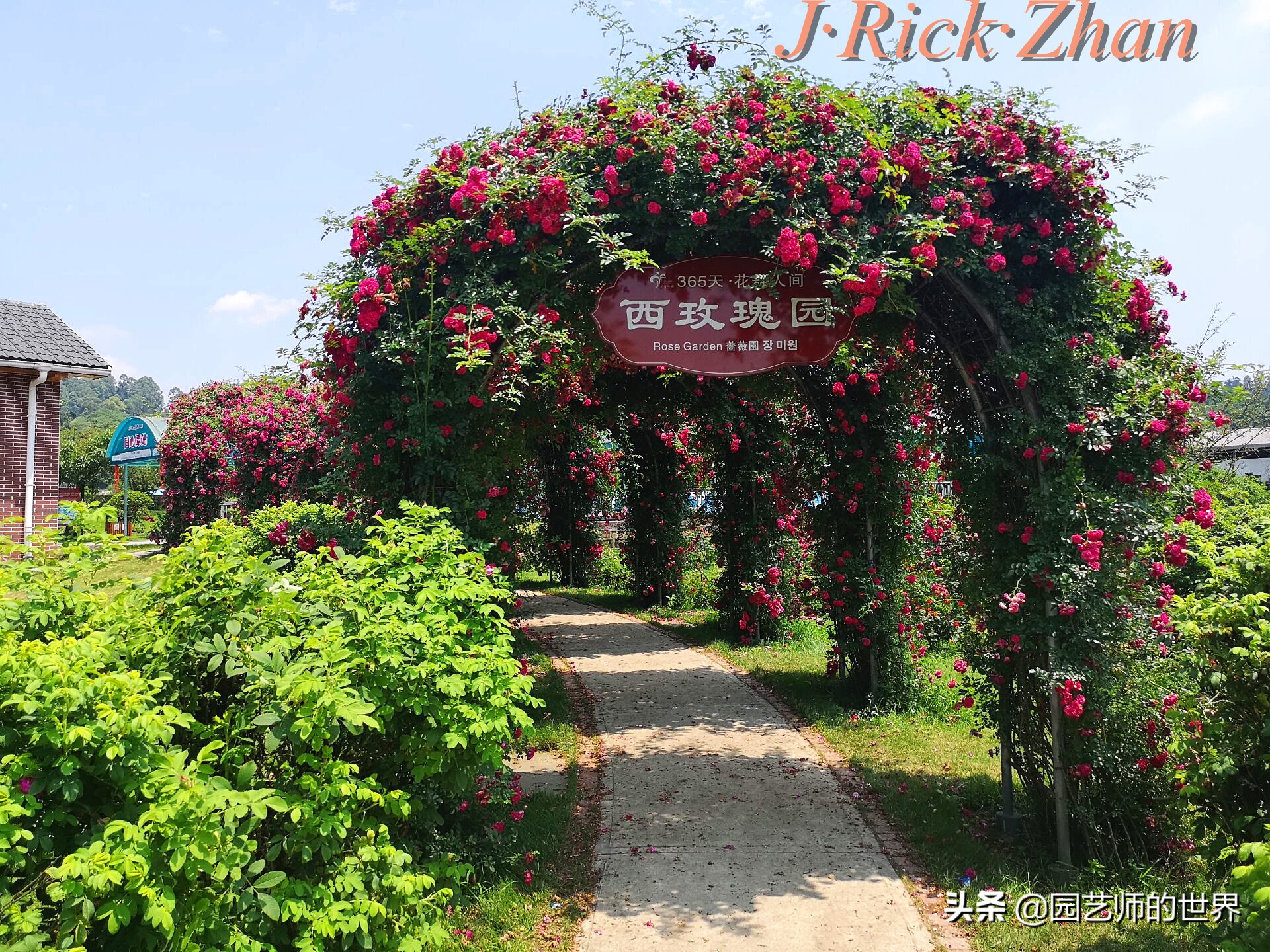 值得参观的国内优秀花园之品鉴（上篇）