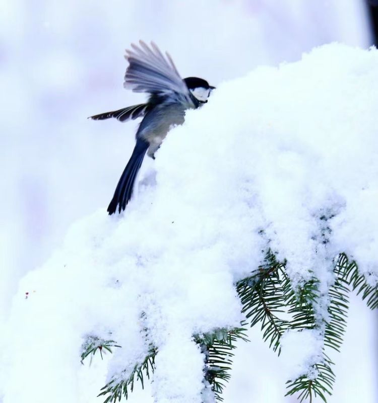 如何在相处中不那么强势咄咄逼人,如何在人际交往中变得强势