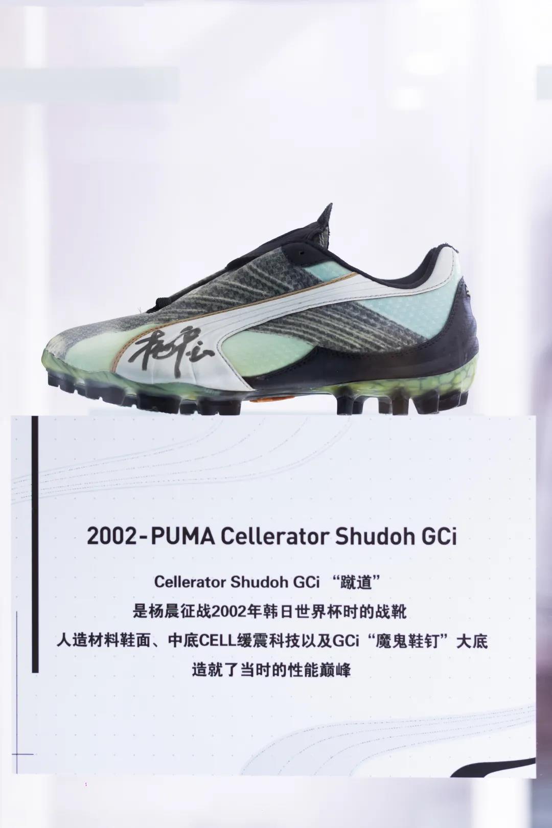 杨晨聊中国足球,杨晨谈国足