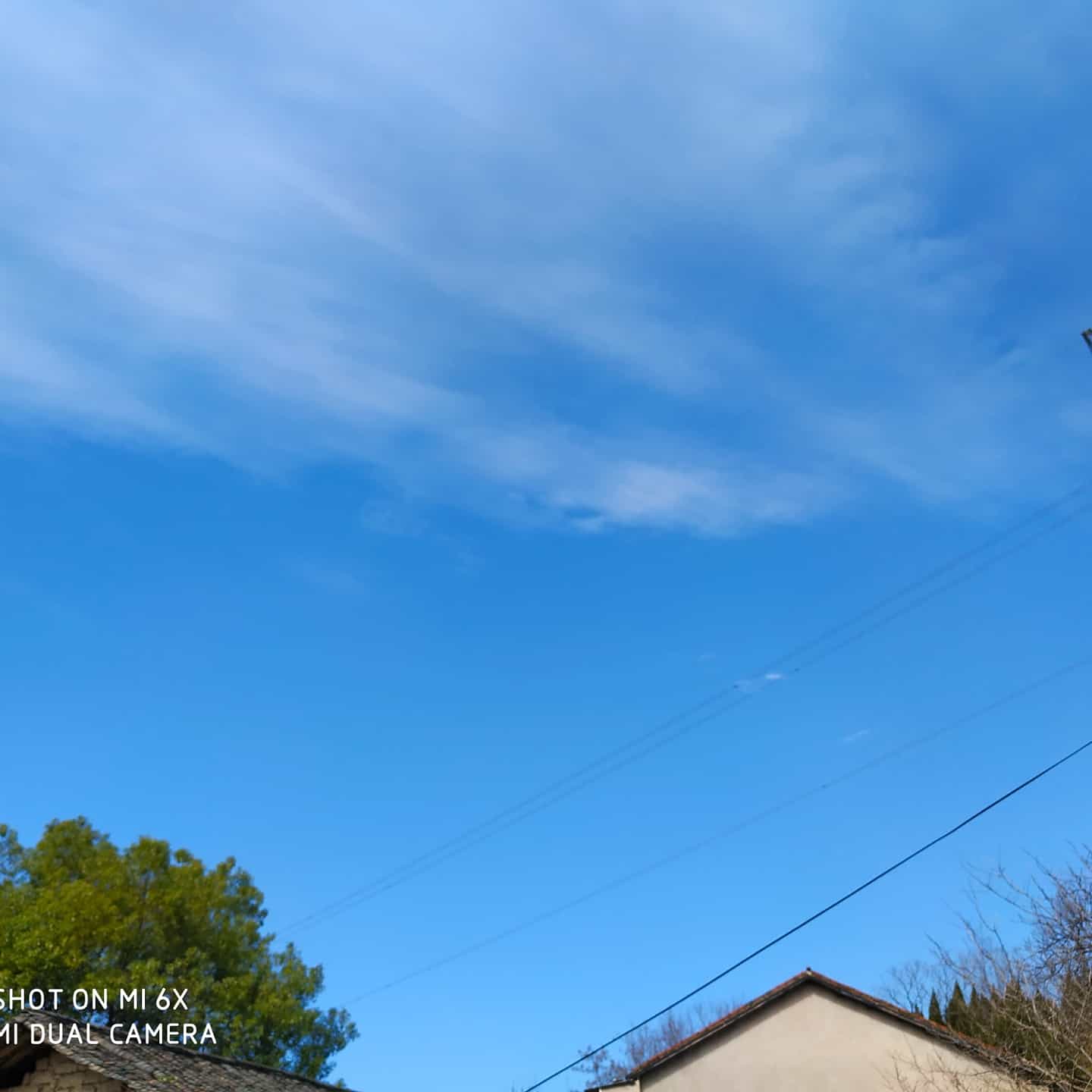 宅家23天，我养成了一个终身受用的好习惯