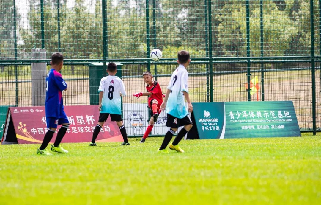 红牛是怎么火起来的,红牛近况