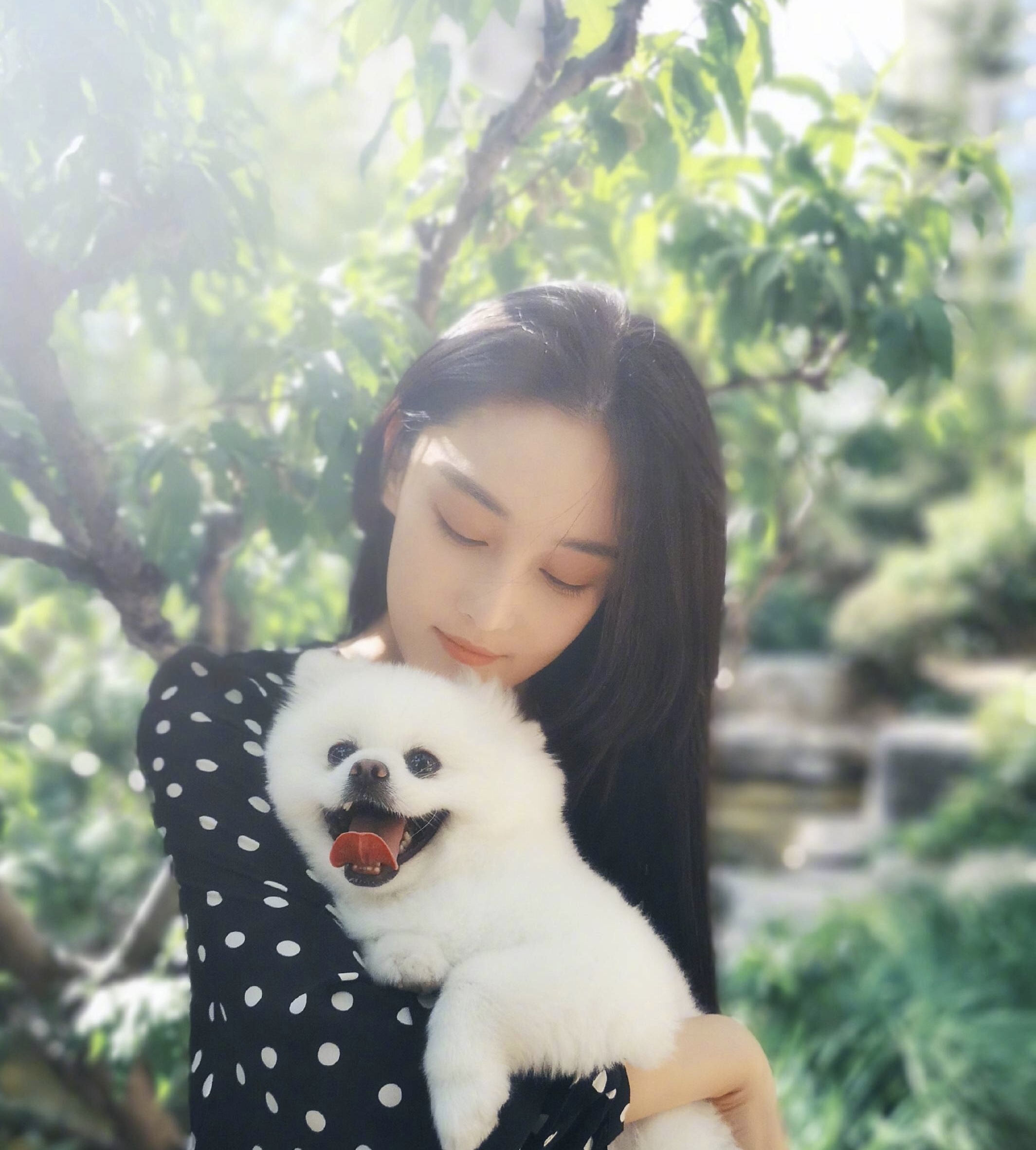 张馨予代购被骗事件,沈梦辰张馨予现状