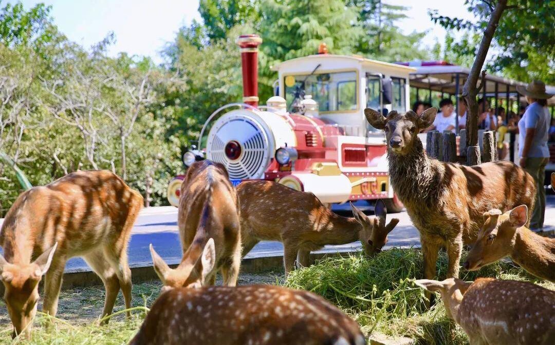 五一小长假休息就要尽情玩耍,五一小长假结束开启上班之旅