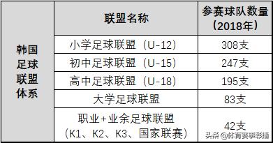 韩国青训对比,日本青训对比韩国青训