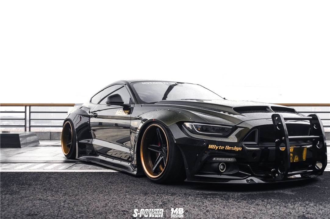 福特mustang警车改造,野马mustang警车