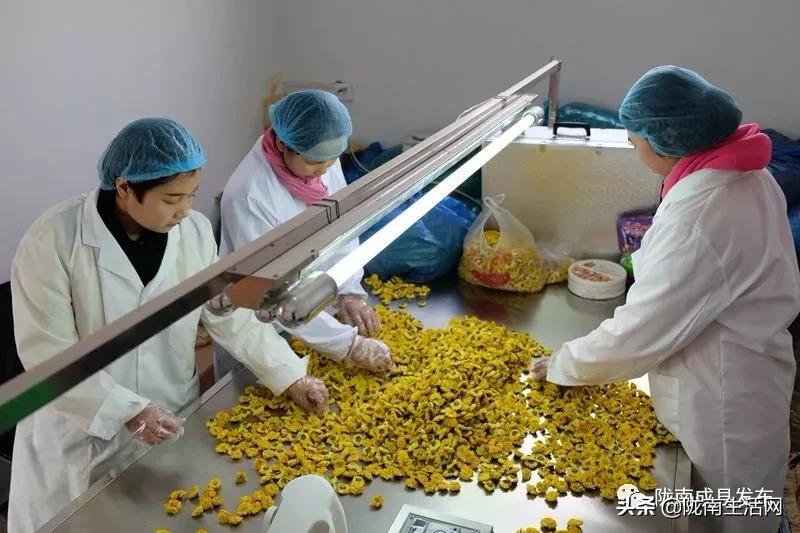 我叫成县,这是我2019年的自拍照