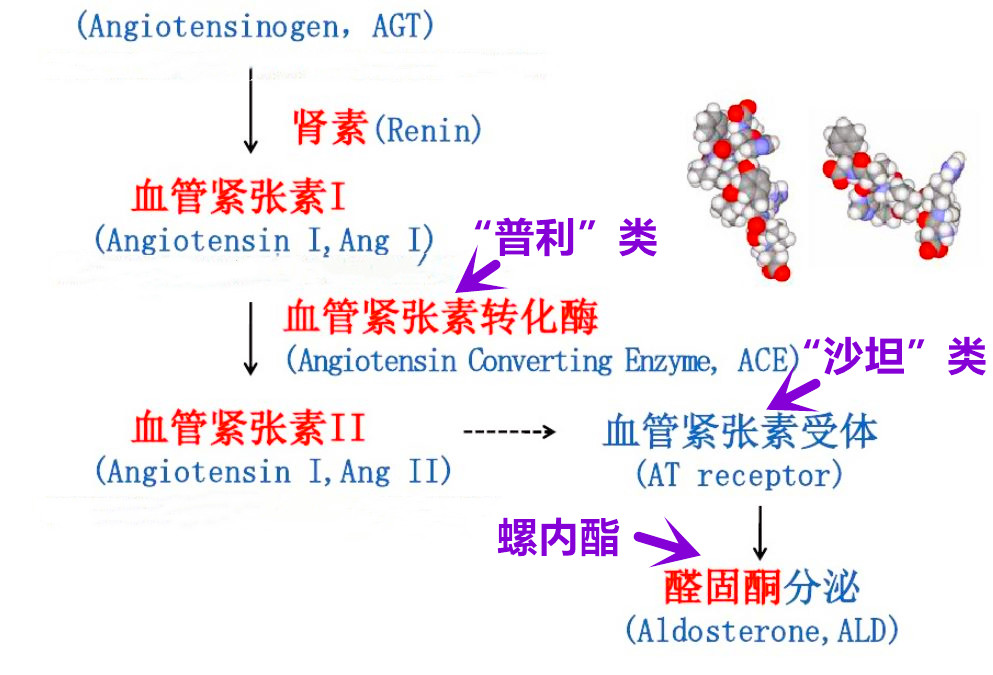 心衰金三角药用法用量,金三角心衰药