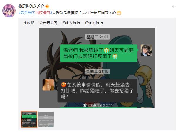 你用过哪些奇葩请假理由,奇葩请假理由完整版