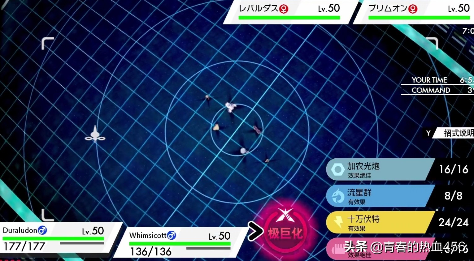 口袋妖怪配队推荐,口袋妖怪有哪些队伍